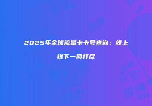 2025年全球流量卡卡号查询：线上线下一网打尽