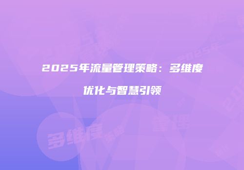2025年流量管理策略:多维度优化与智慧引领