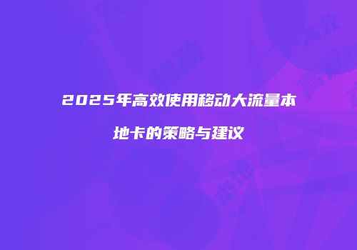 2025年高效使用移动大流量本地卡的策略与建议