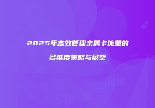 2025年高效管理亲属卡流量的多维度策略与展望