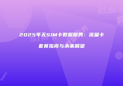 2025年无SIM卡数据服务:流量卡套餐指南与未来展望