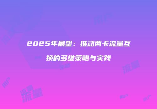 2025年展望：推动两卡流量互换的多维策略与实践