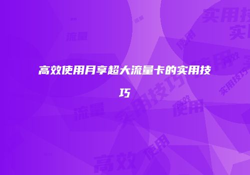 高效使用月享超大流量卡的实用技巧