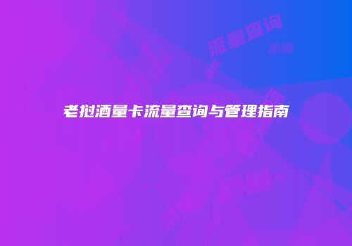 老挝酒量卡流量查询与管理指南