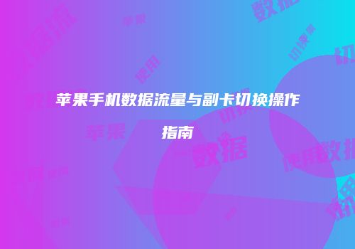 苹果手机数据流量与副卡切换操作指南