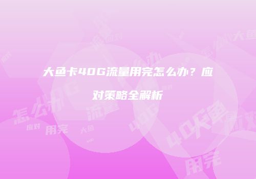 大鱼卡40G流量用完怎么办?应对策略全解析