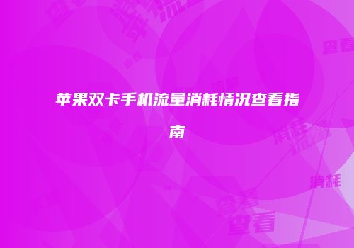 苹果双卡手机流量消耗情况查看指南