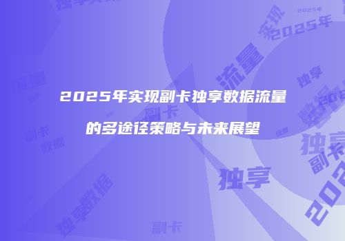 2025年实现副卡独享数据流量的多途径策略与未来展望