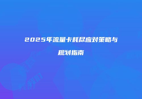 2025年流量卡耗尽应对策略与规划指南