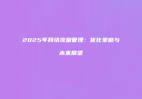 2025年网络流量管理:优化策略与未来展望