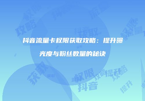 抖音流量卡权限获取攻略:提升曝光度与粉丝数量的秘诀