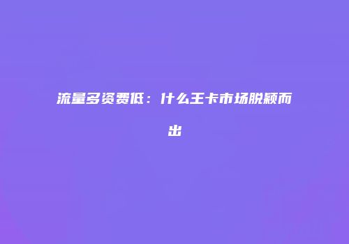 流量多资费低:什么王卡市场脱颖而出