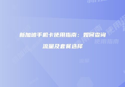 新加坡手机卡使用指南:如何查询流量及套餐选择
