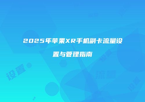2025年苹果XR手机副卡流量设置与管理指南