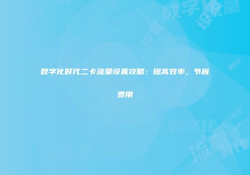 数字化时代二卡流量设置攻略:提高效率,节省费用