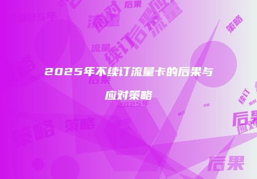 2025年不续订流量卡的后果与应对策略
