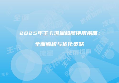 2025年王卡流量超额使用指南:全面解析与优化策略