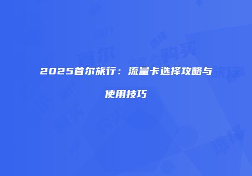 2025首尔旅行:流量卡选择攻略与使用技巧