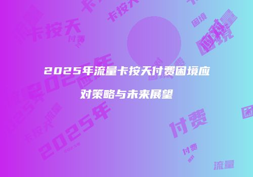 2025年流量卡按天付费困境应对策略与未来展望
