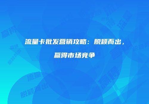 流量卡批发营销攻略:脱颖而出,赢得市场竞争