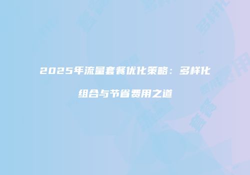2025年流量套餐优化策略:多样化组合与节省费用之道