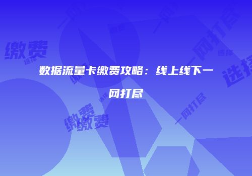 数据流量卡缴费攻略：线上线下一网打尽