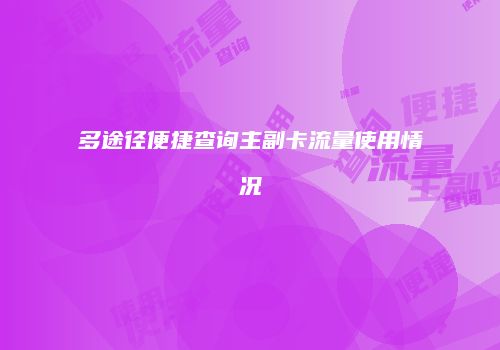 多途径便捷查询主副卡流量使用情况