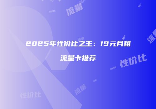 2025年性价比之王：19元月租流量卡推荐