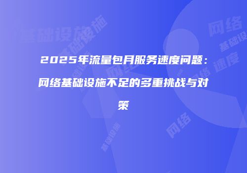 2025年流量包月服务速度问题：网络基础设施不足的多重挑战与对策