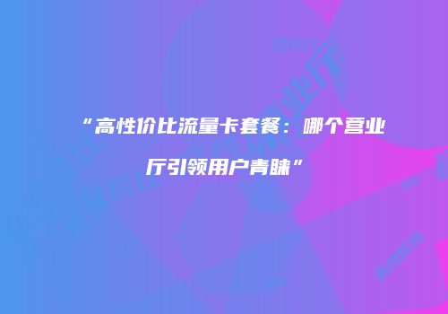 “高性价比流量卡套餐：哪个营业厅引领用户青睐”