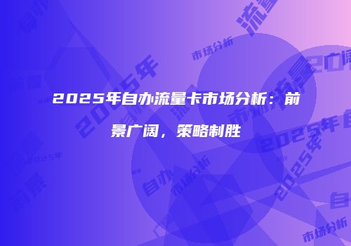 2025年自办流量卡市场分析:前景广阔,策略制胜