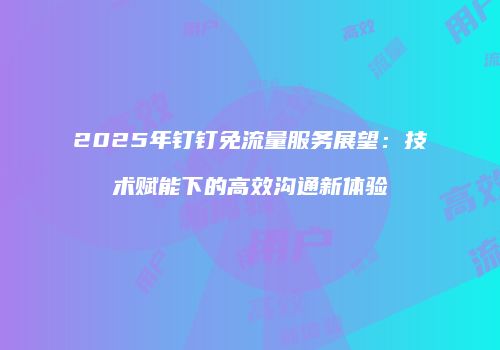 2025年钉钉免流量服务展望：技术赋能下的高效沟通新体验