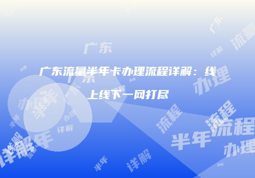 广东流量半年卡办理流程详解：线上线下一网打尽