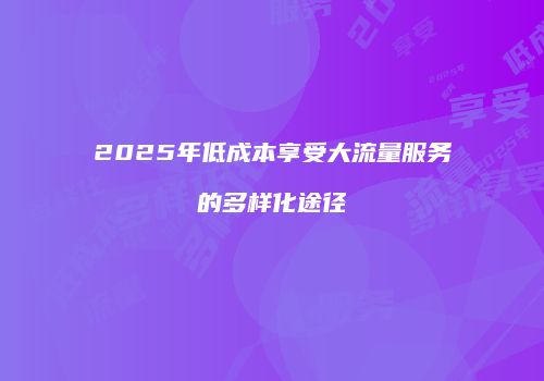 2025年低成本享受大流量服务的多样化途径