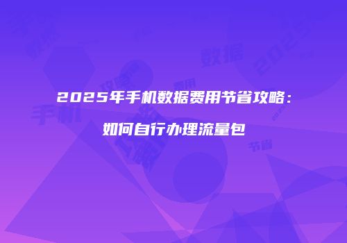2025年手机数据费用节省攻略：如何自行办理流量包