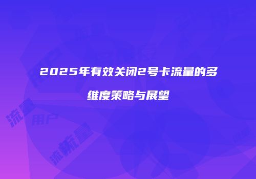 2025年有效关闭2号卡流量的多维度策略与展望