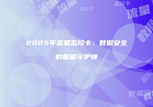 2025年流量监控卡：数据安全的智能守护神