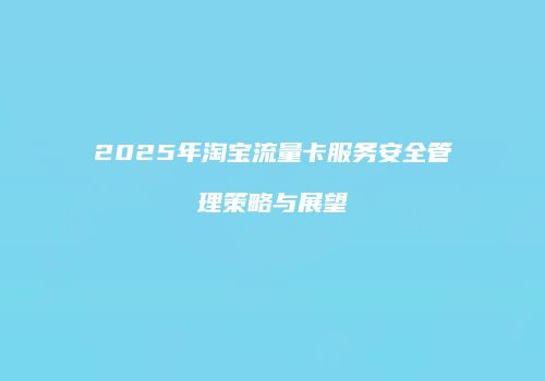 2025年淘宝流量卡服务安全管理策略与展望