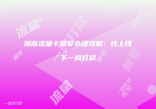 湖南流量卡靓号办理攻略：线上线下一网打尽