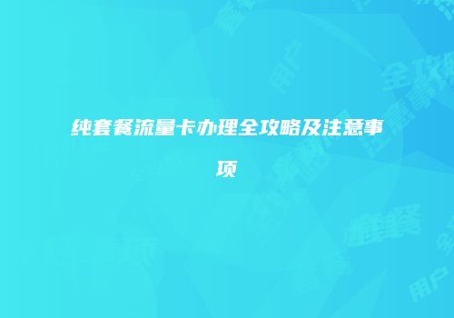 纯套餐流量卡办理全攻略及注意事项