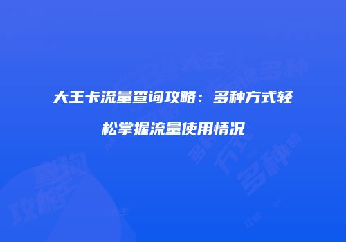大王卡流量查询攻略：多种方式轻松掌握流量使用情况