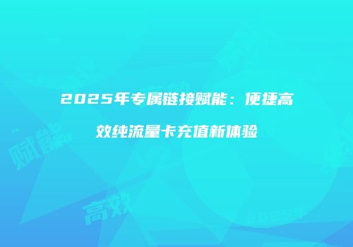 2025年专属链接赋能：便捷高效纯流量卡充值新体验