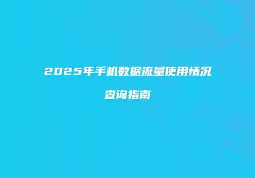 2025年手机数据流量使用情况查询指南
