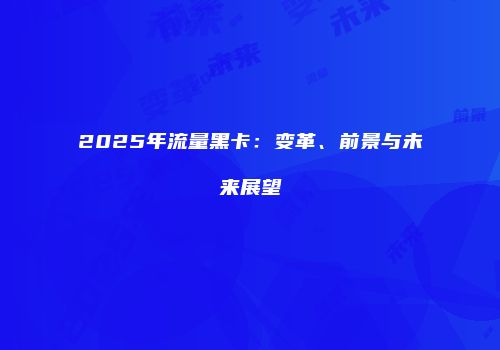 2025年流量黑卡:变革、前景与未来展望