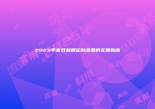 2025年高效利用定向流量的实用指南