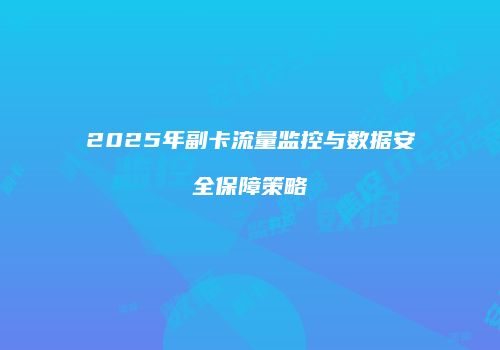 2025年副卡流量监控与数据安全保障策略