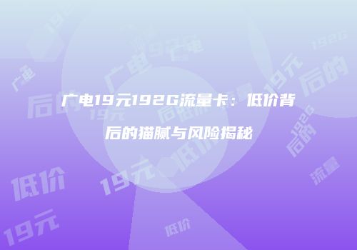 广电19元192G流量卡：低价背后的猫腻与风险揭秘