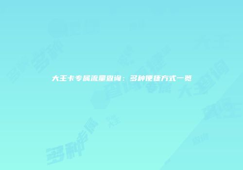大王卡专属流量查询：多种便捷方式一览