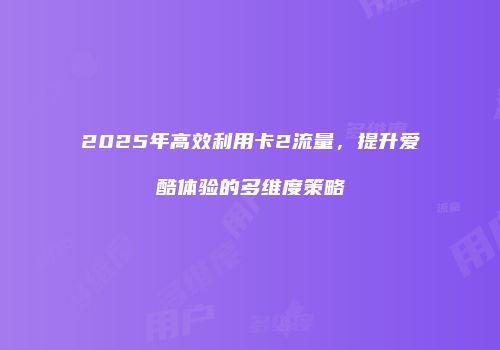 2025年高效利用卡2流量,提升爱酷体验的多维度策略