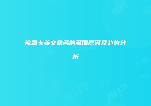 流量卡英文命名的多面原因及趋势分析
